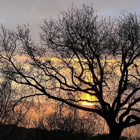 Lunarosa Mascali Bagian luar foto